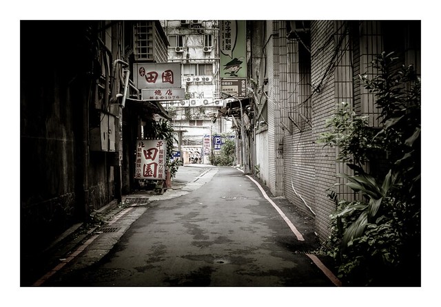 月见草花语寓意