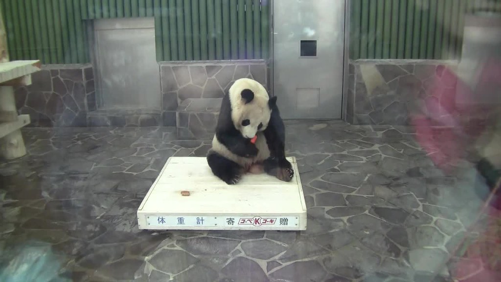 补肾运动强身健体