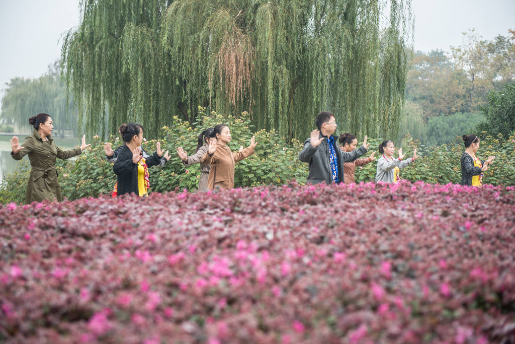 壮阳药材有哪些