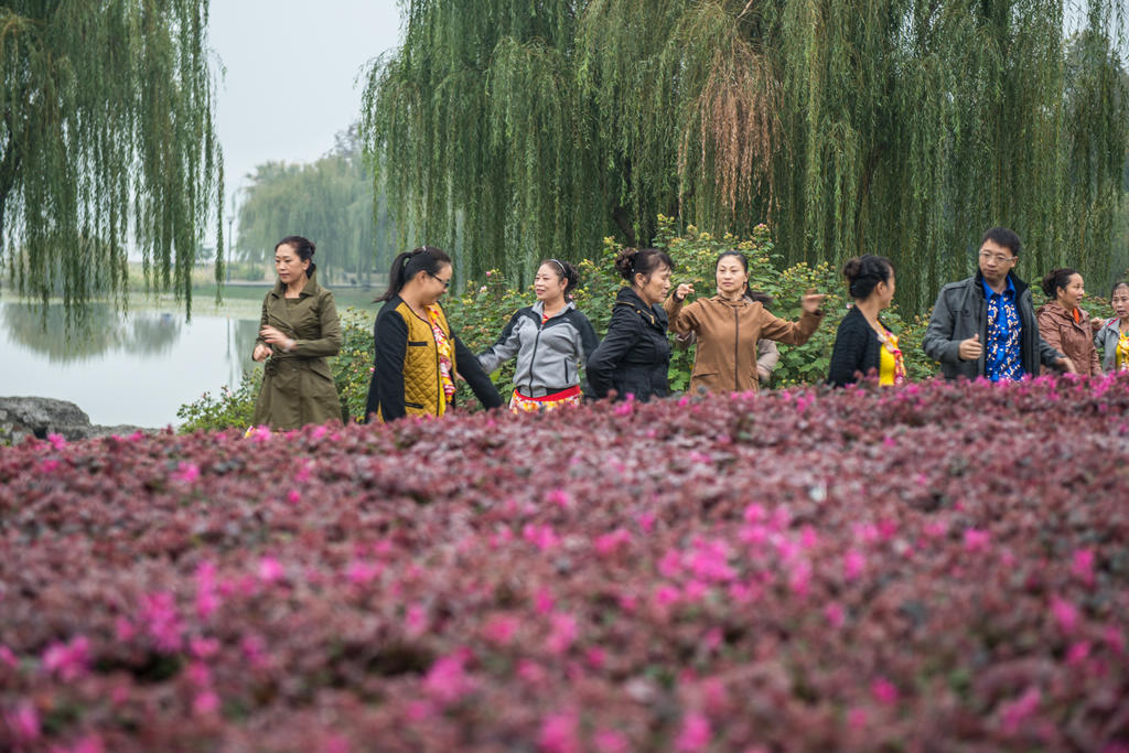 什么壮阳药见效最快