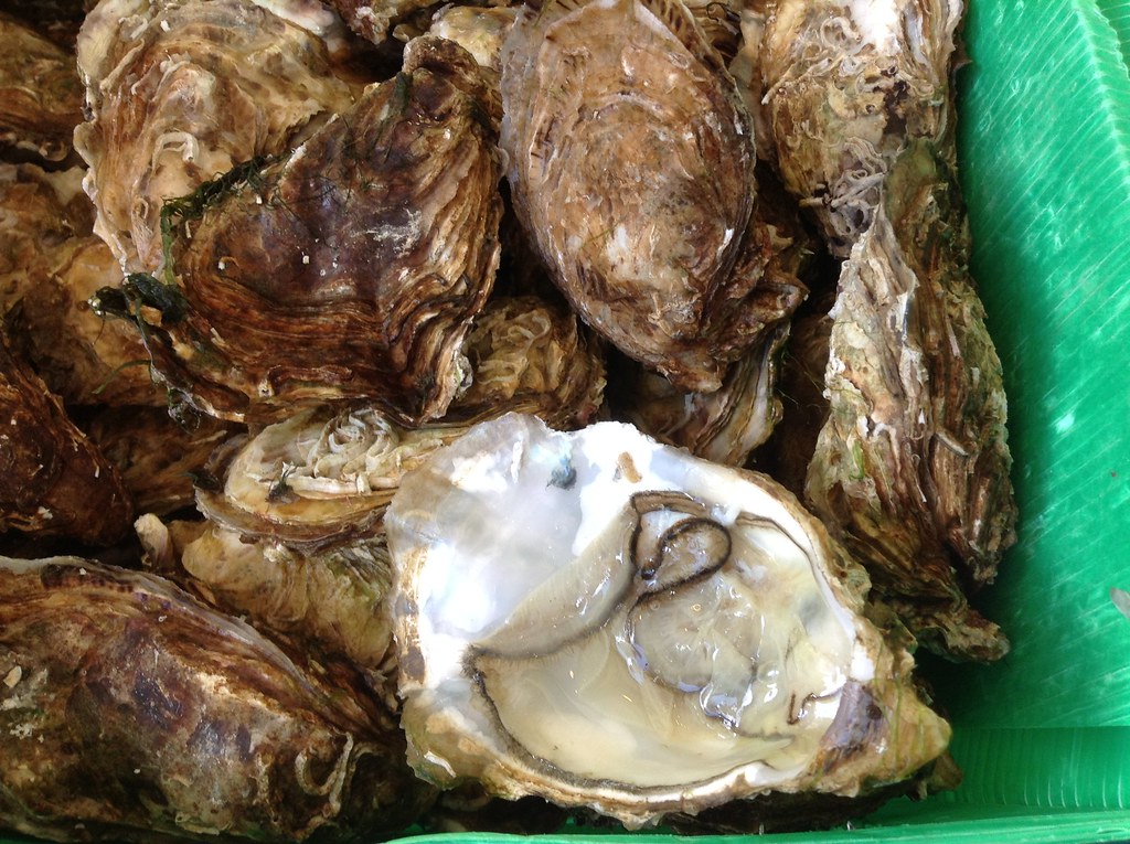 补肾食谱大全