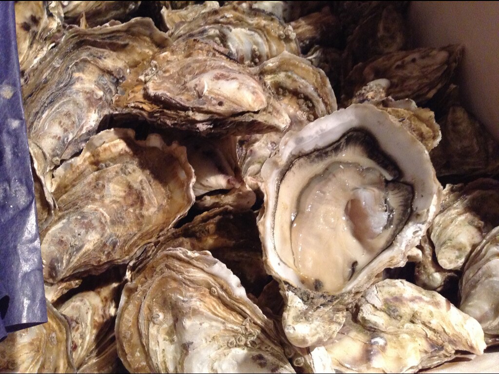 补肾汤煲汤食谱备孕