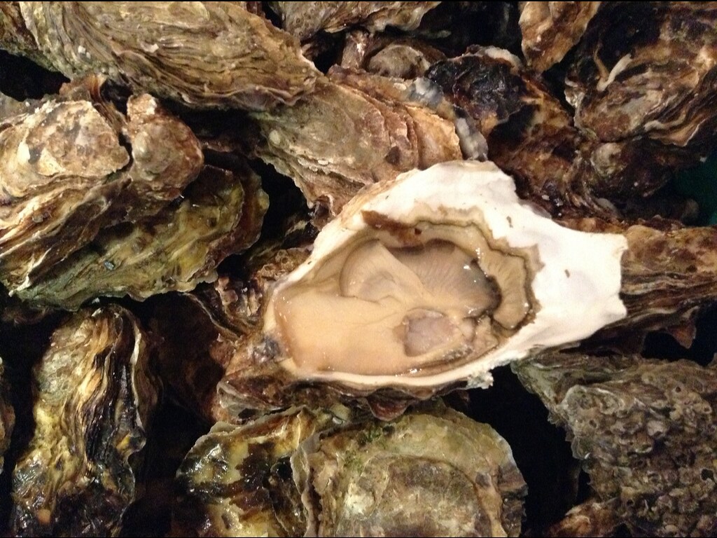 补肾壮阳的中成药