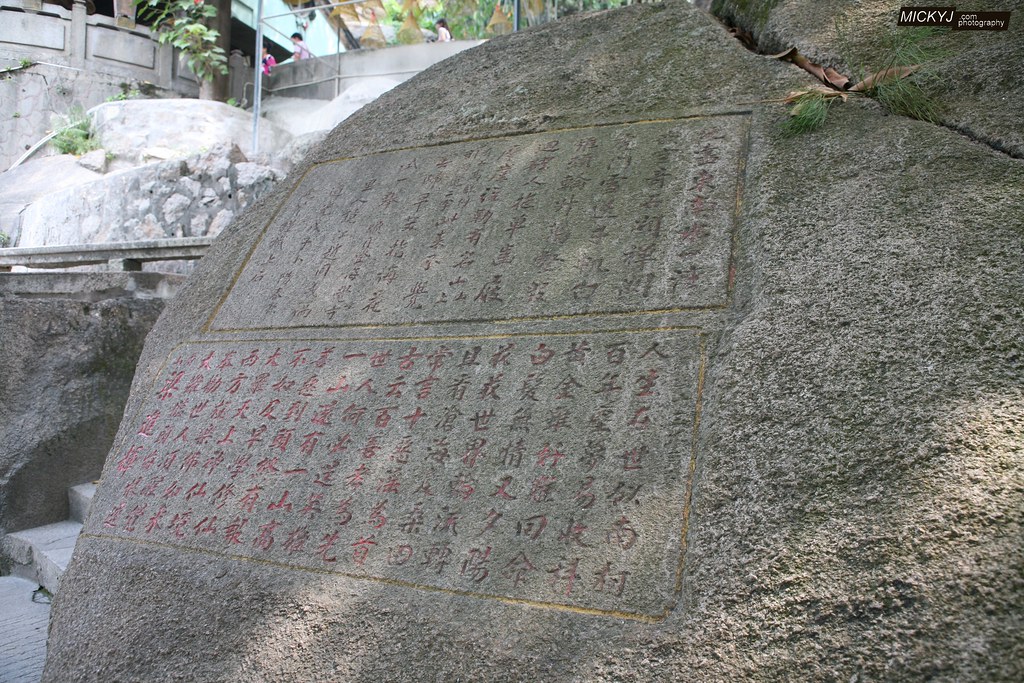 补肾药六个