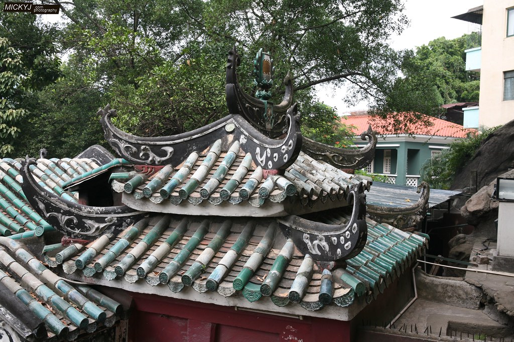 补肾的中药有哪些