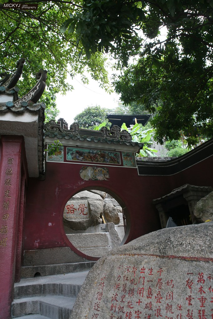 补肾养肾的药材
