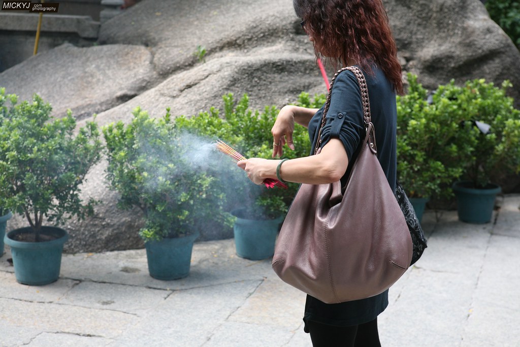 参茸丸成分