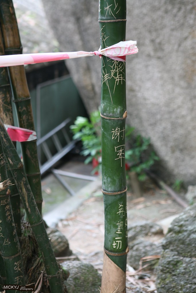 固元颗粒详细介绍