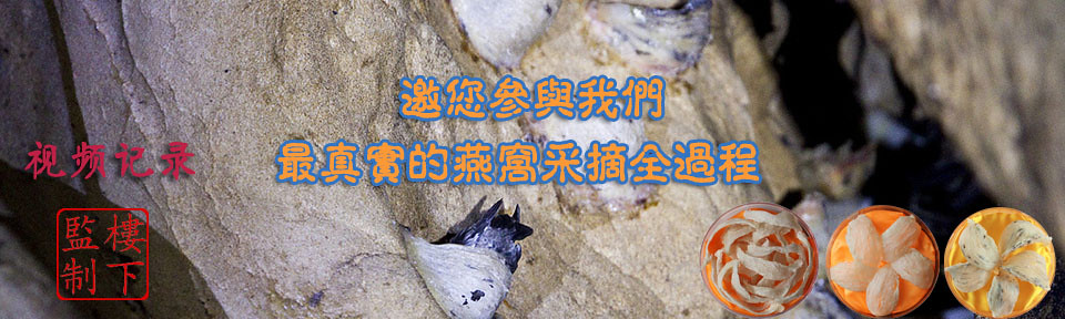 正宗补肾壮阳药中药
