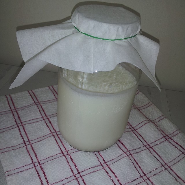 国珍牌竹叶青茶