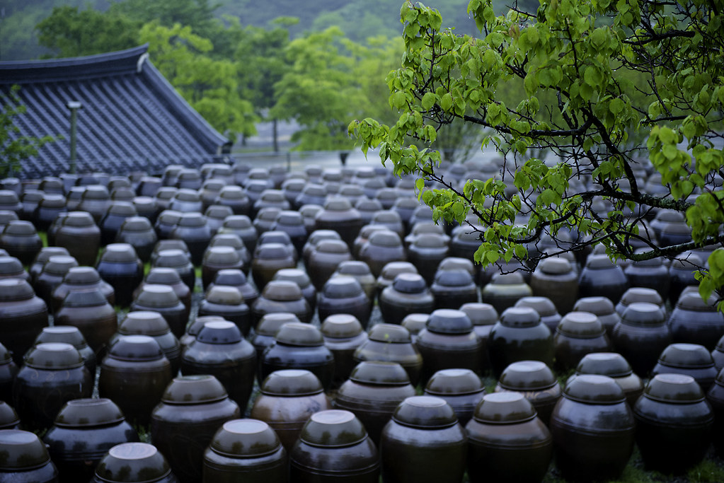壮阳是指哪个部位