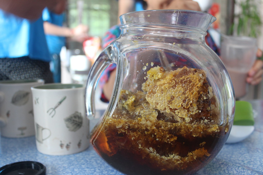 丹参保心茶