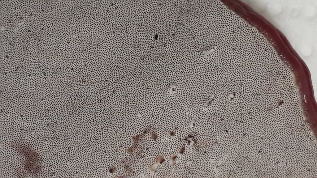 延缓衰老