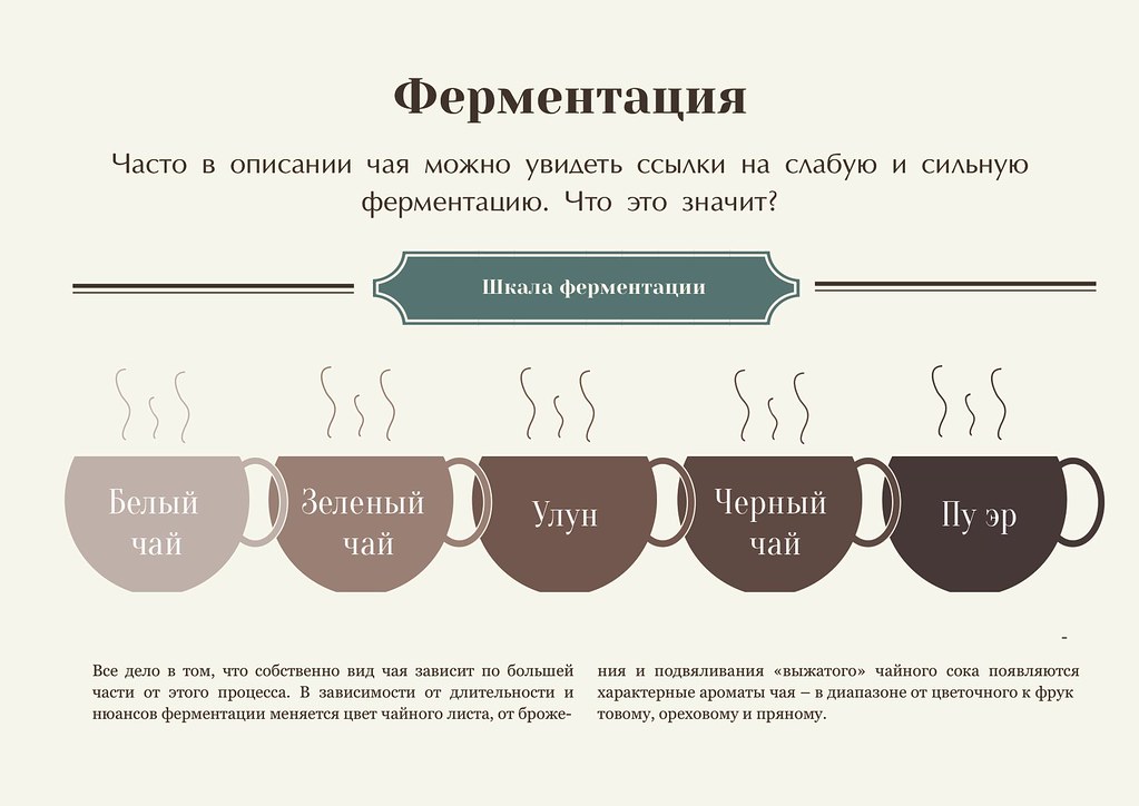 补肾养肝最有效的茶
