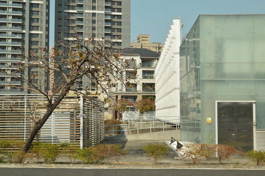 黑枸杞原浆
