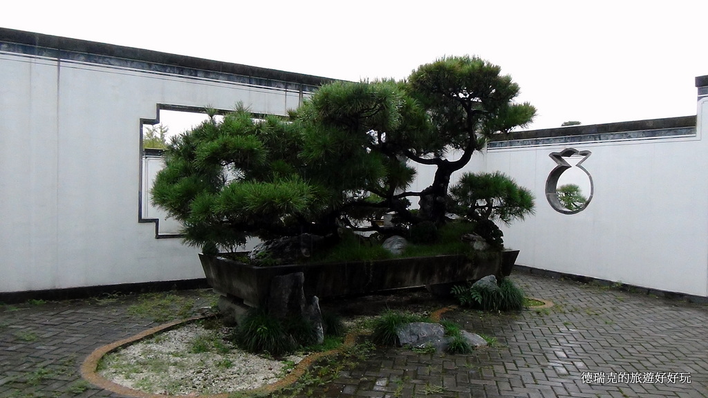 十大壮阳中药材