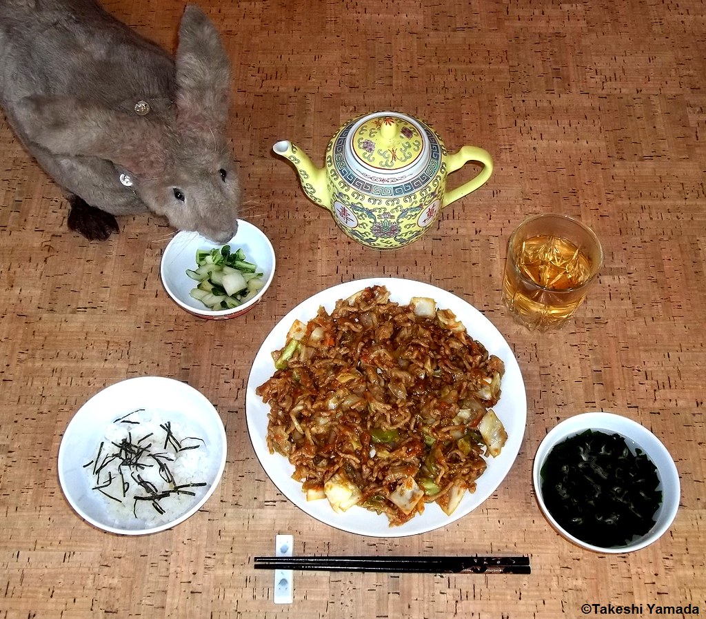 补肾壮阳药的中成药哪个最好