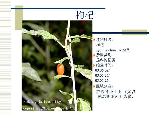 氨糖软骨素加钙片多少钱