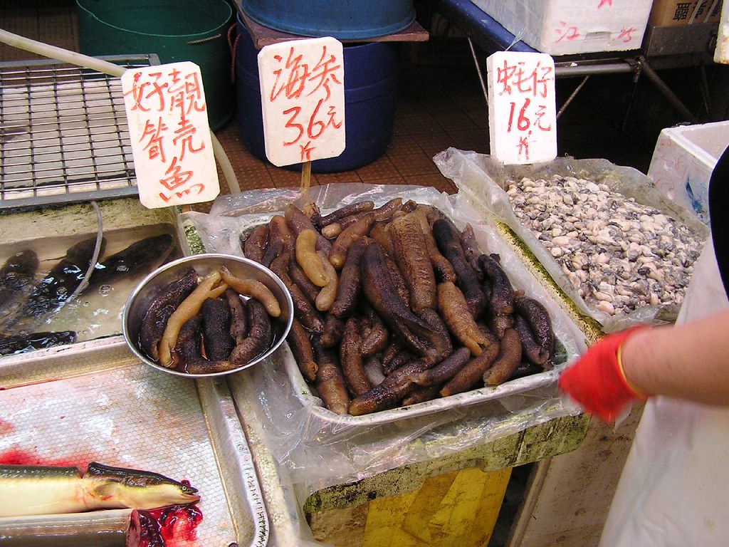 补精子活力的食物食谱
