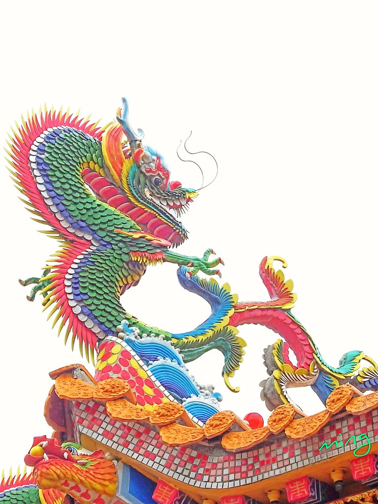 角鲨烯的服用方法和最佳时间