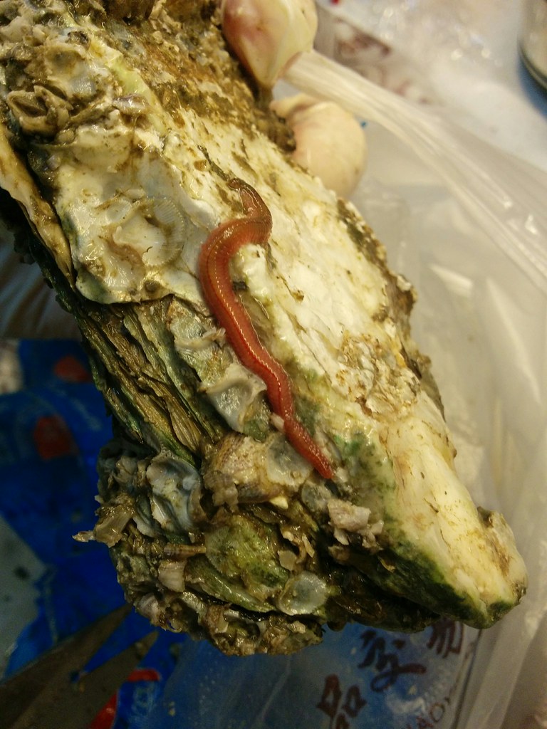 姜黄素的功效与作用的功能与主治