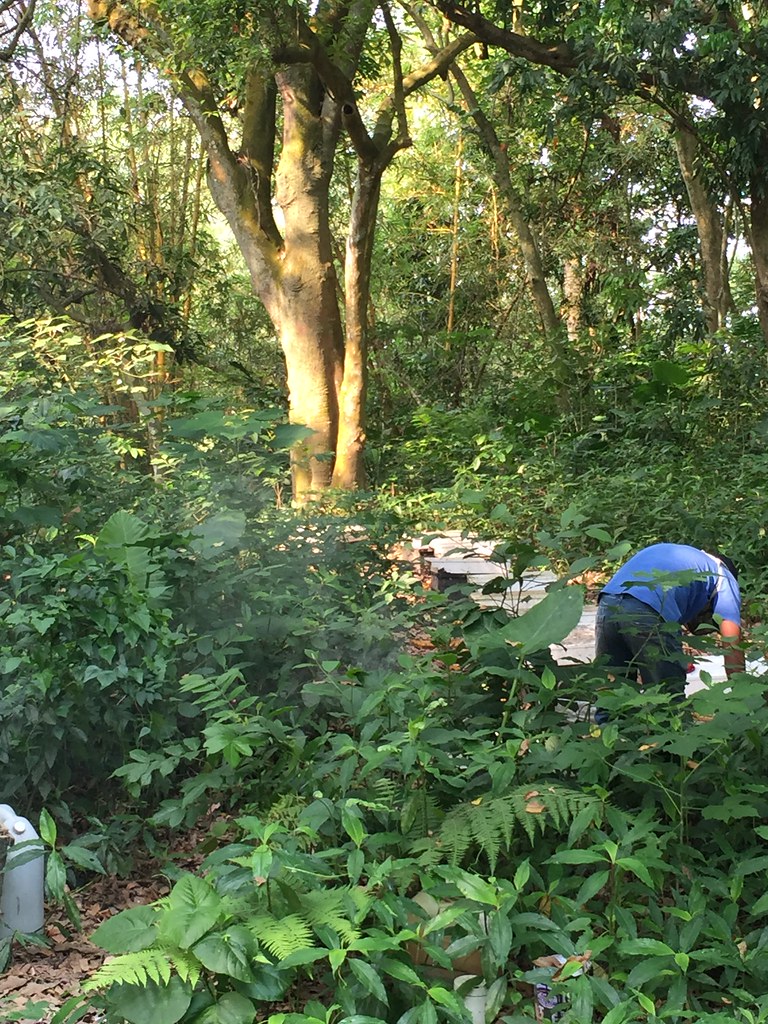 香港补肾壮阳药哪种最好