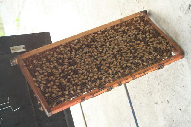 吃啥壮阳补肾药排行榜10强