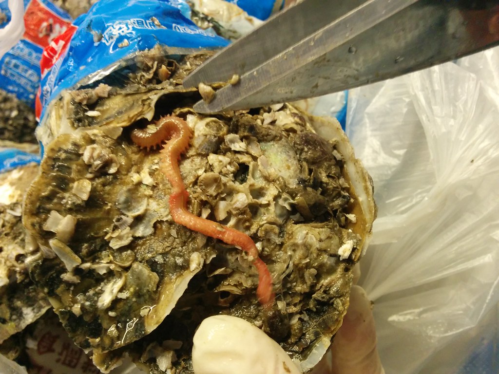雀巢佳膳服用多久要停一下