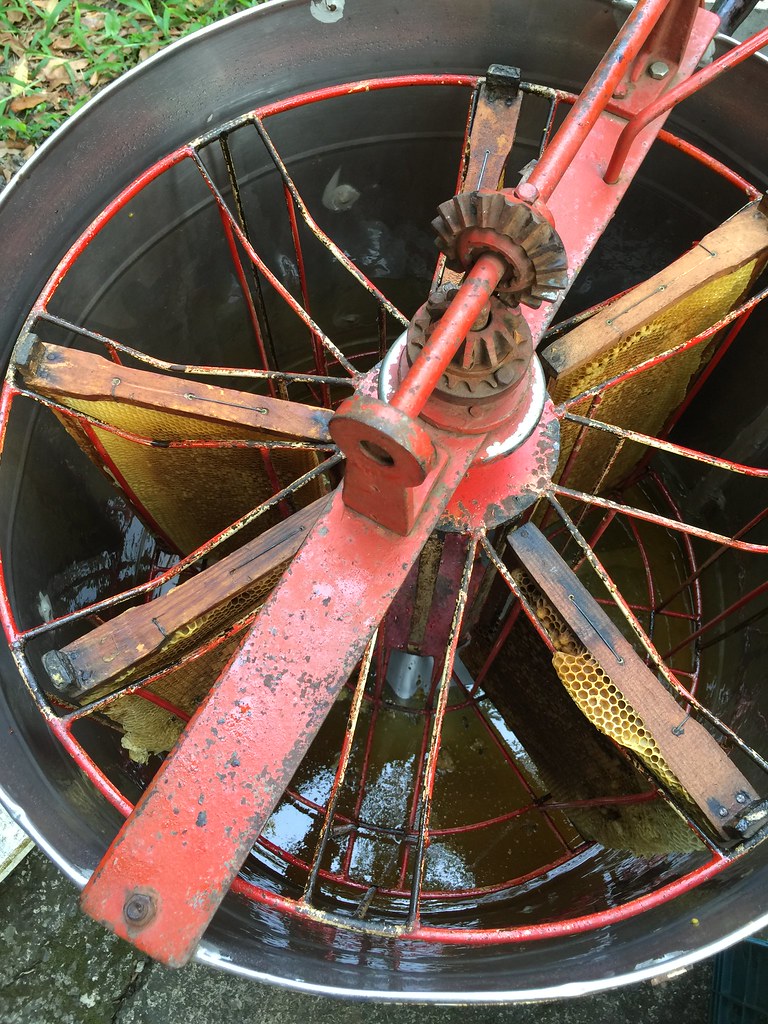 南京同仁堂和北京同仁堂的关系