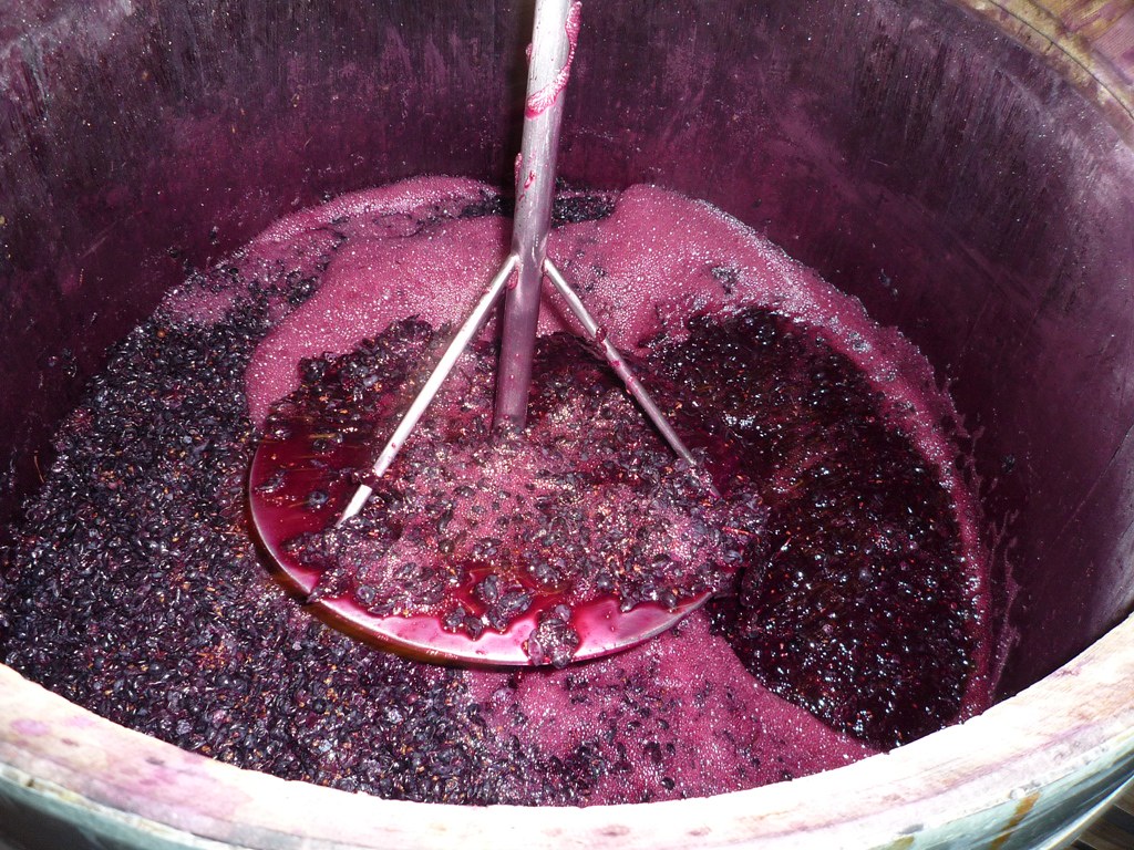 吃什么食物能壮阳补肾
