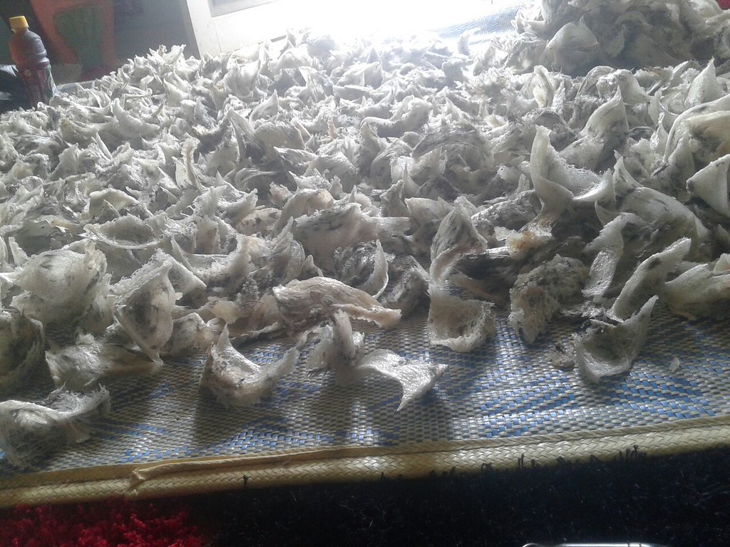 中药补肾壮阳的副作用