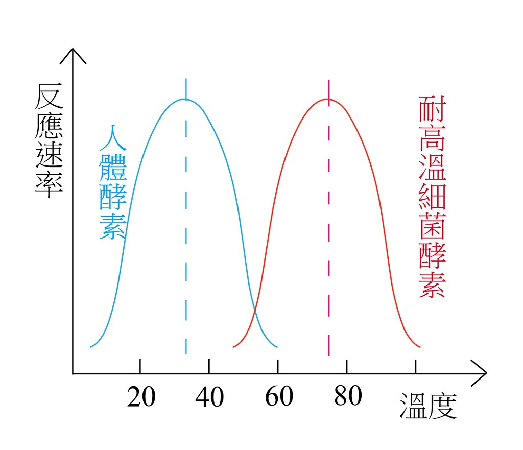 养生堂牌天然维生素E软胶囊用法