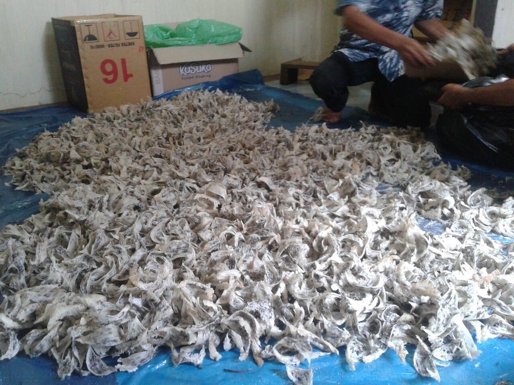 简单补肾壮阳单方药茶