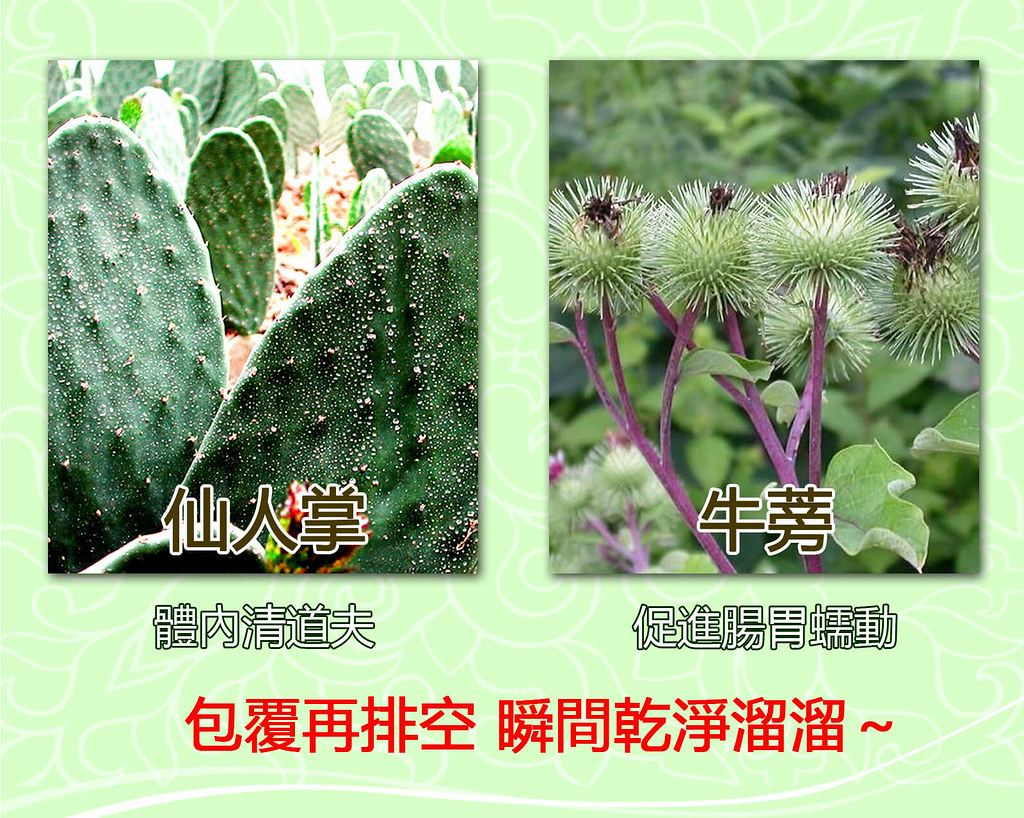 补肾养肾的10大食物百度百科
