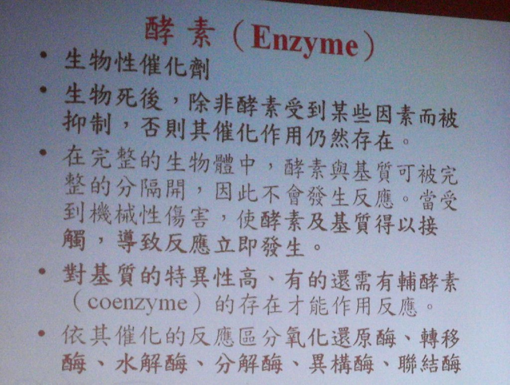补肾的食物有哪些一览表