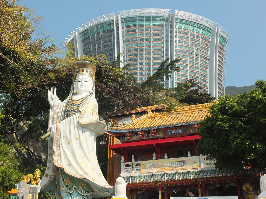 补肾吃什么食物效果最好呢