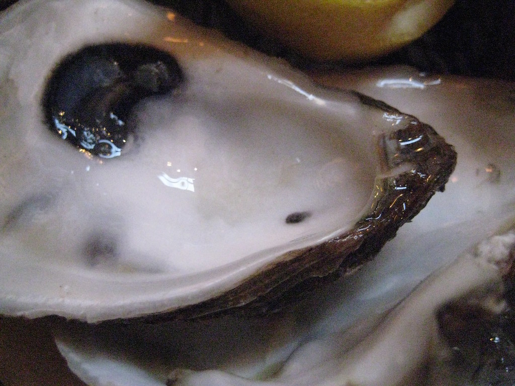 omega3脂肪酸特性