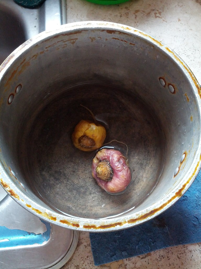 壮阳药哪个好快见效无副作用