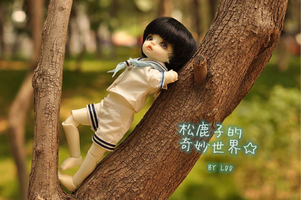 补肾的中药都有啥
