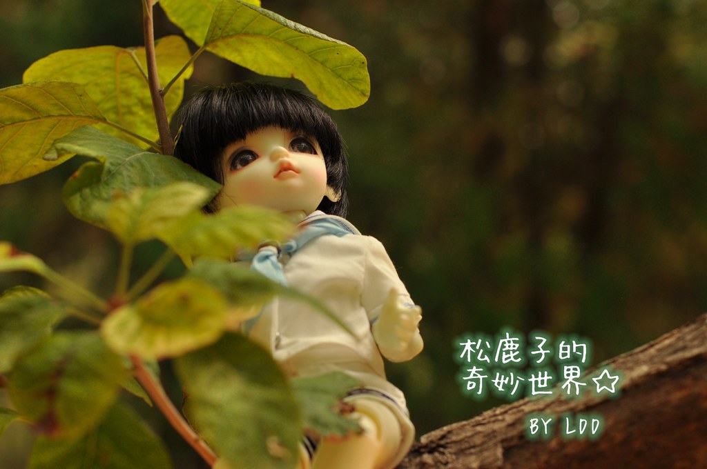 海南种植补肾药品