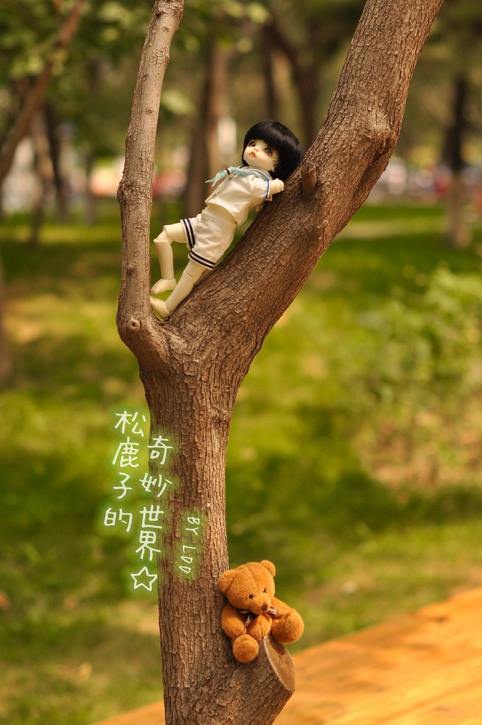 补肾化湿健脾的药