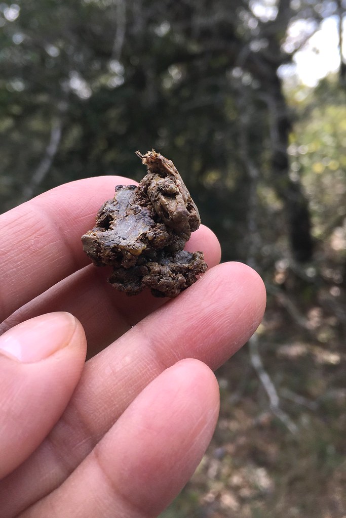 男用壮阳延时药物