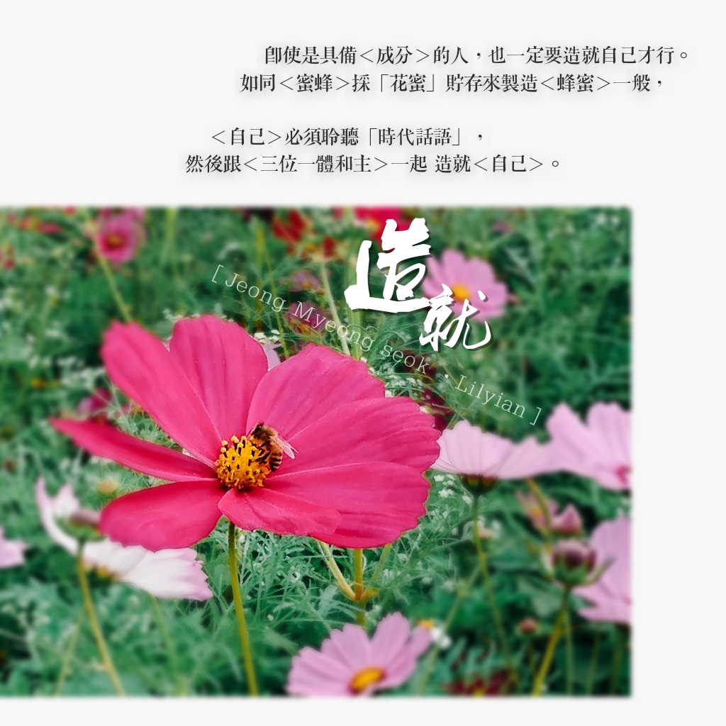 女人滋阴补肾要吃啥