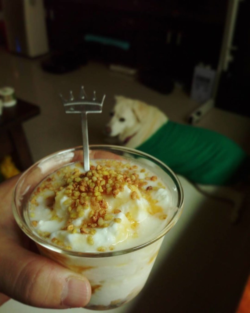 什么食材补肾生精