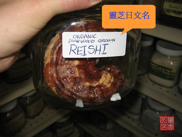 小儿补肾吃什么好