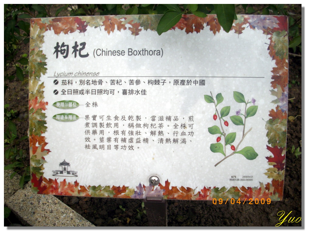 活血补肾是什么意思