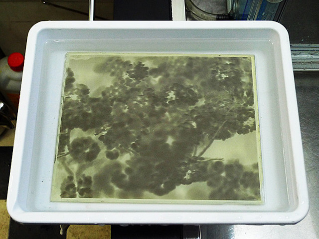 补肾健脾中药方剂