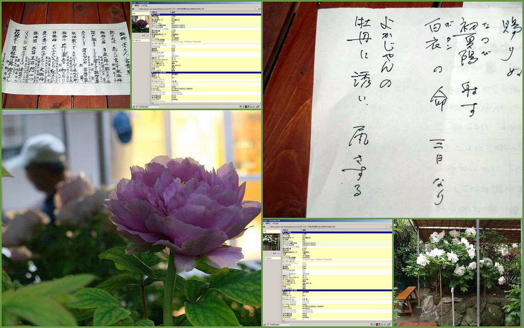契默契增大膏好贵