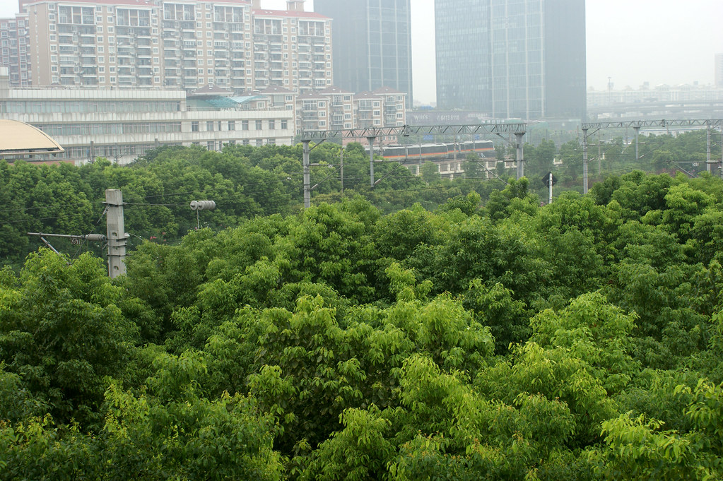 阴茎增粗手术补片