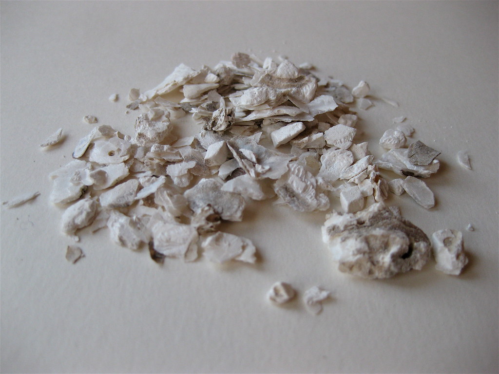 男人吃鹿茸壮阳吗